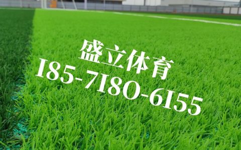 绿化草皮草坪多少钱？2025年最新价格参考与影响因素分析