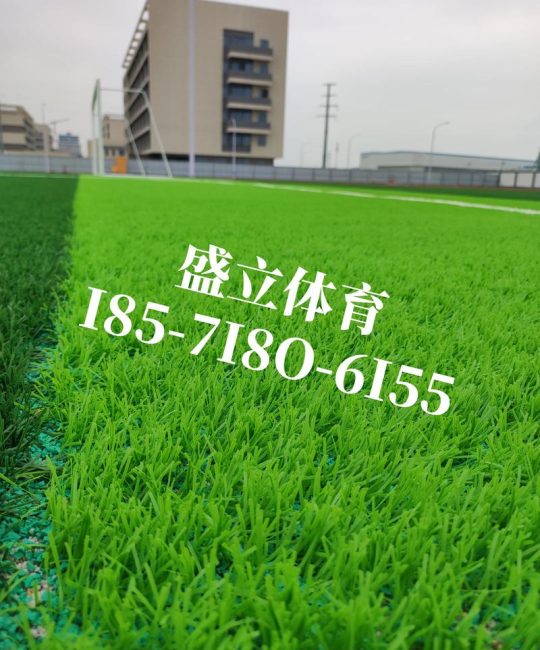 绿化草皮草坪多少钱？2025年最新价格参考与影响因素分析