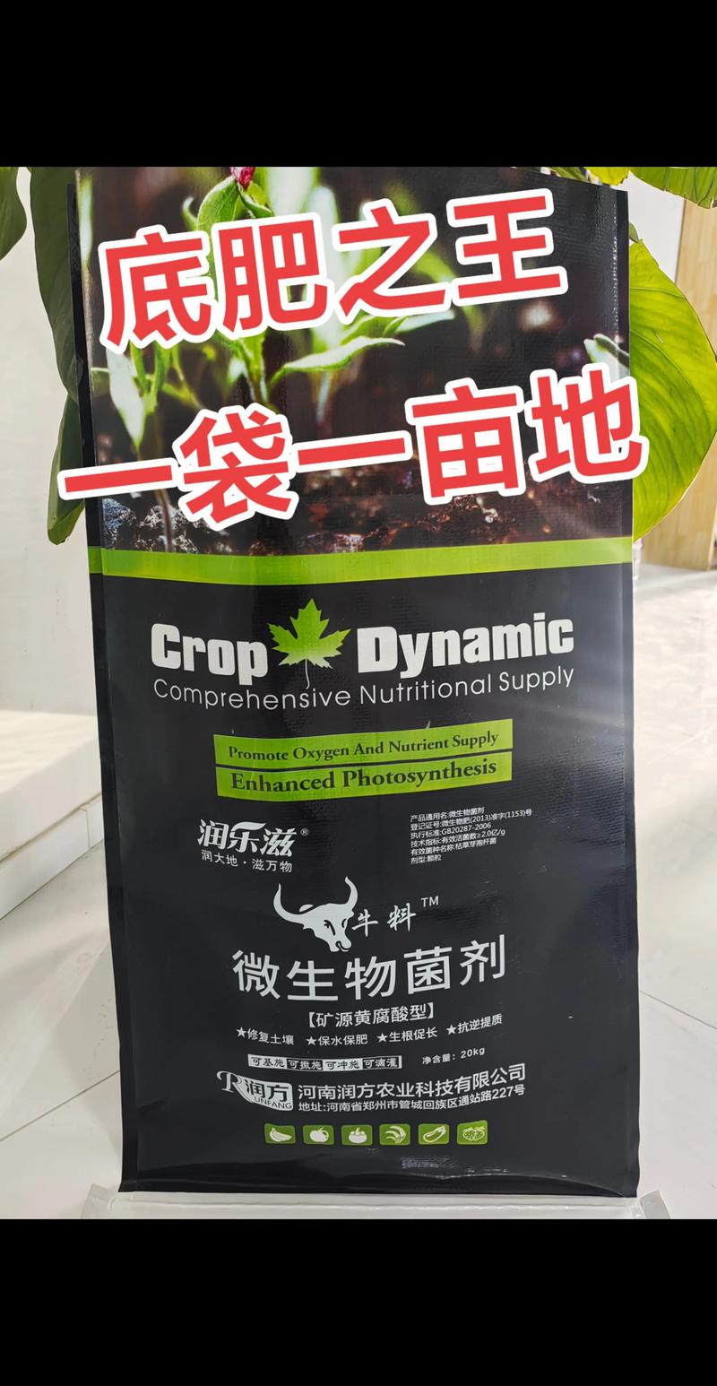 价格快速参考