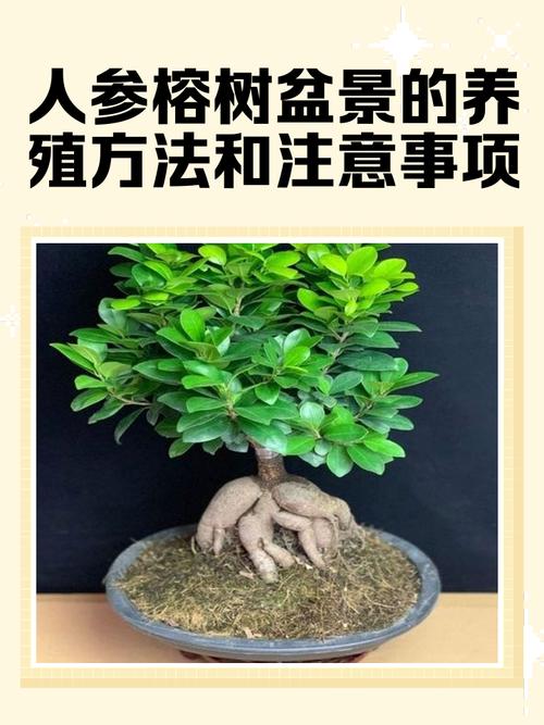 六、常见问题与解决