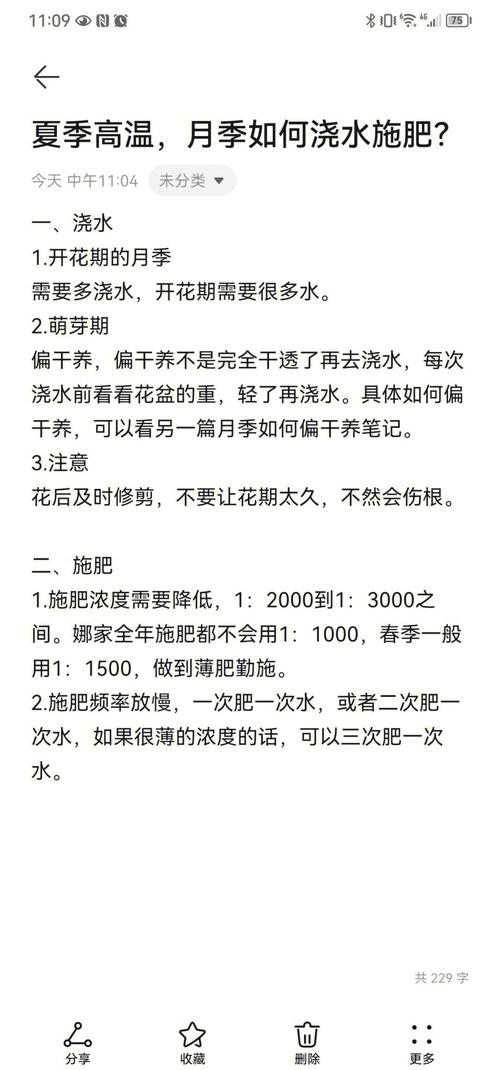 光照：月季是喜光植物，但夏季需“适可而止”
