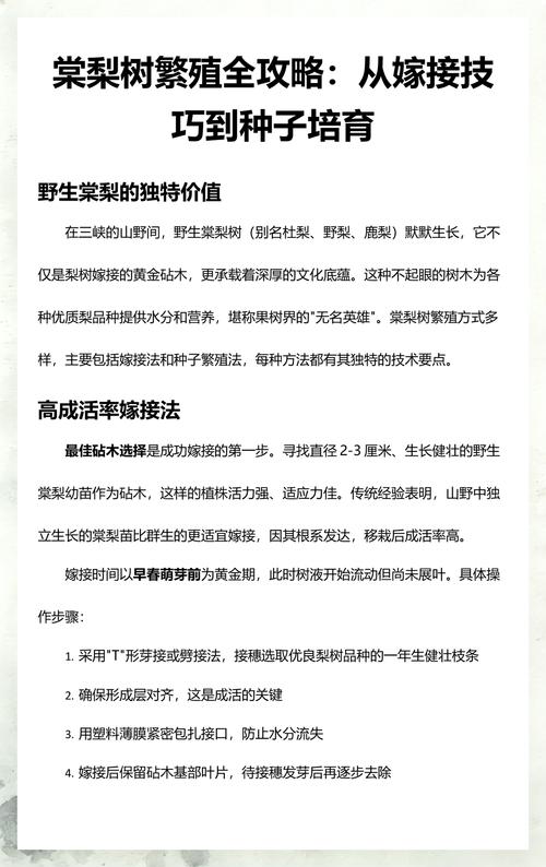菠萝蜜嫁接技术指南:哪些树是最佳砧木选择? 四、幼苗管理指南与移栽决策