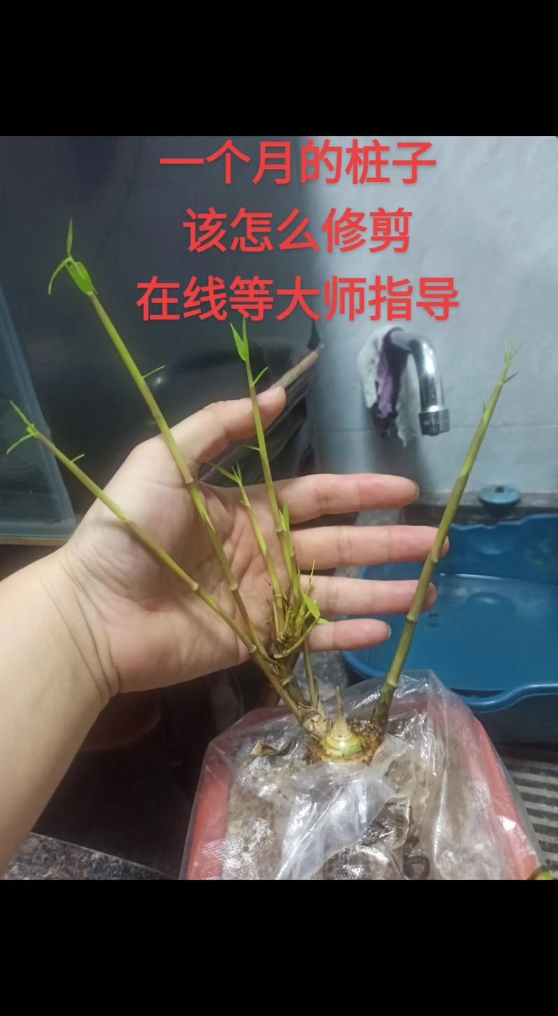 五、总结