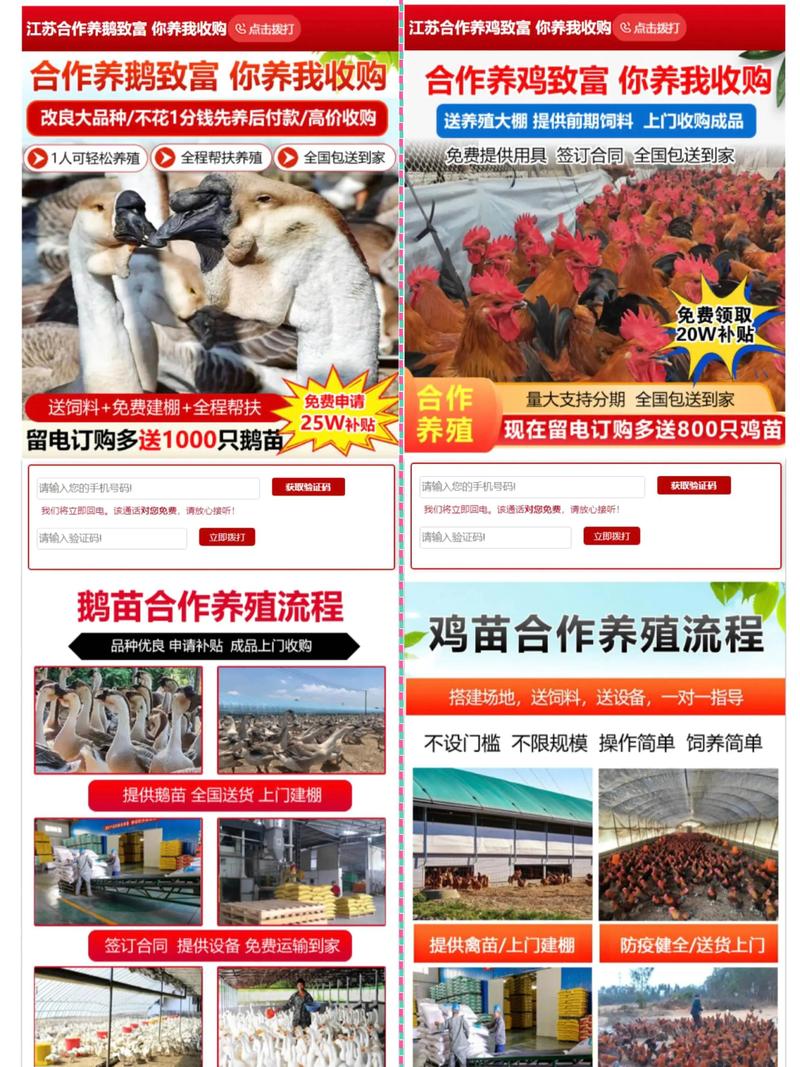 养鸡场鸡苗多少钱一只?2025年鸡苗价格参考与影响因素分析 规格因素:品种、日龄与防疫