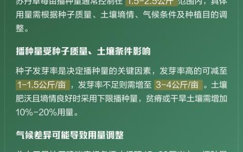 种苏丹草每亩要多少种子？详解播种量与种植技巧