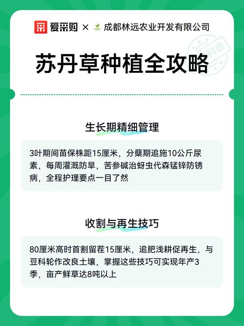四、田间管理要点