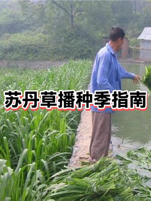 总结