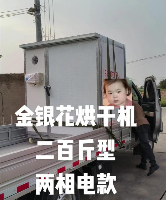 金银花烘干机多少钱？2025年最新价格参考与选购指南