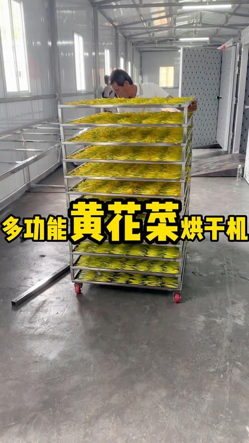 5. 运输：物流成本占10%-30%