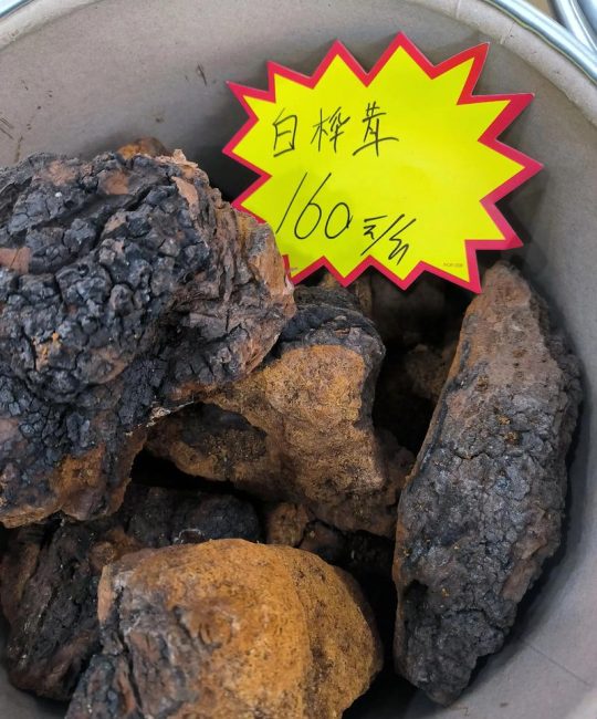 白桦树茸多少一斤？从园艺视角看桦树栽培与价值影响因素