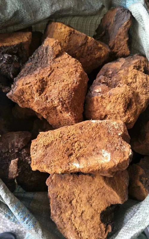 价格差异的园艺根源：树在哪里，树龄多大