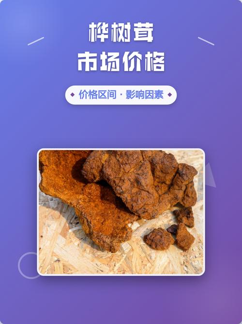 结语：关注价格，更关注树木本身