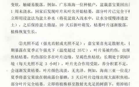 树叶枯萎是什么原因？家庭园艺植物急救指南