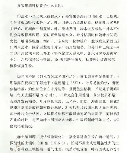 树叶枯萎是什么原因？家庭园艺植物急救指南