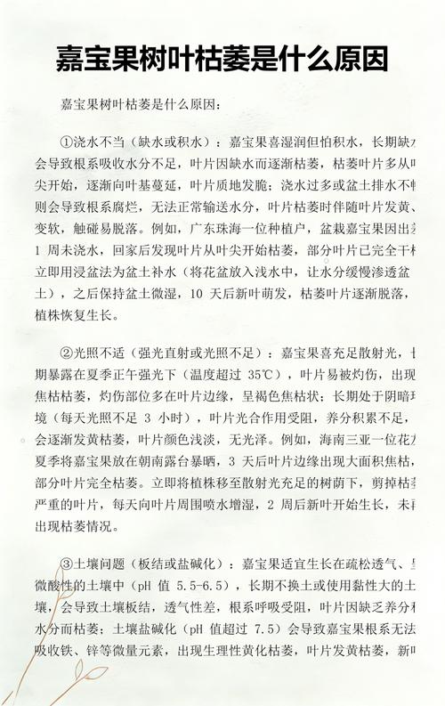 树叶枯萎是什么原因?家庭园艺植物急救指南 树叶枯萎是什么原因?家庭园艺植物急救指南