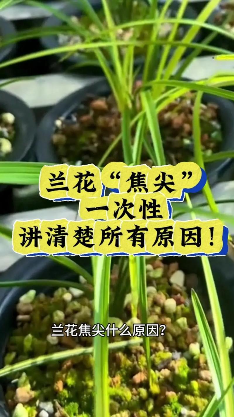 常见原因列表