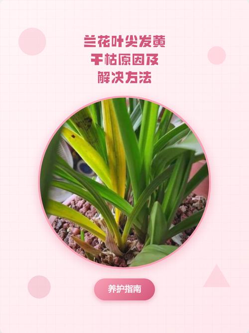 处理办法（每项含调整方式和操作参数）