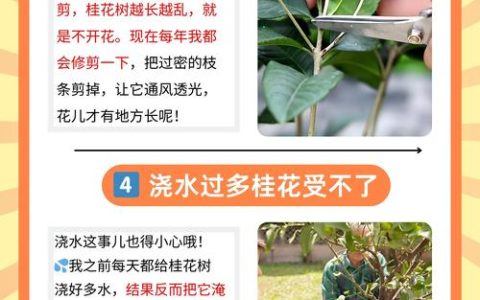 十年桂花树不开花是什么原因？专家详解促花技巧与养护方案