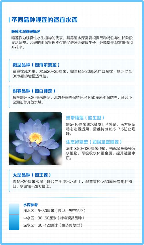种睡莲水深多少合适?快速掌握水位与品种的匹配关系 不同品种的精确水深对照