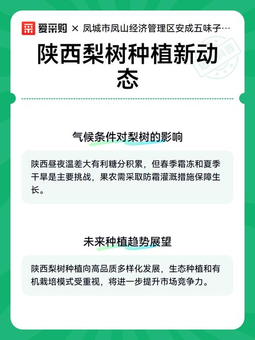 梨树什么时候移栽最好?老农教你春季+秋季两套标准方案,成活率95%以上 六、缓苗管理:遮阴保湿,7-15天新芽萌发