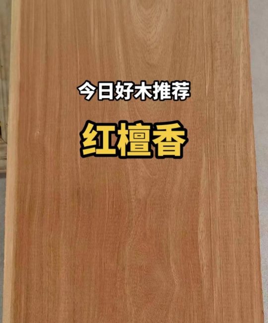 红檀是什么木材？从植物学视角解读红檀的前世今生