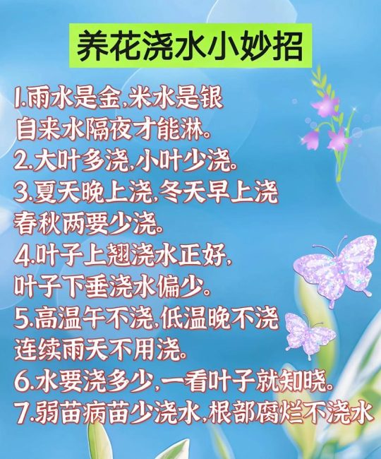 养鱼水能浇花吗？园艺达人的环保妙招与注意事项