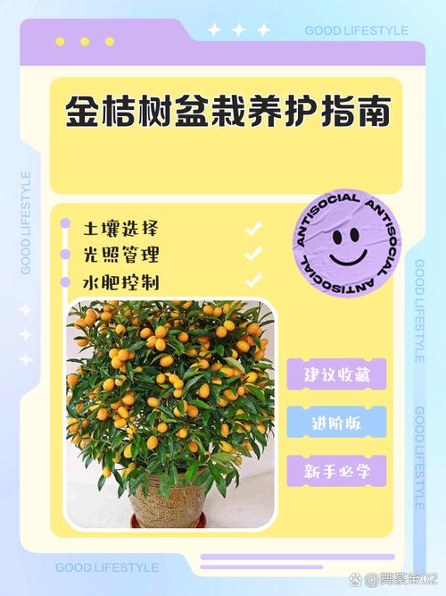 换盆或田间管理