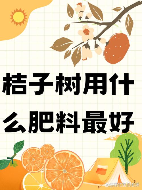 光照