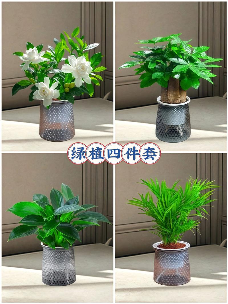 水培植物哪个最好?2026年家庭养护首选清单与终极指南 常见问题(FAQ)