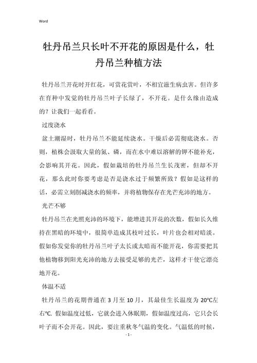 吊兰什么时候开花?花期、养护要点与不开花原因全解析 常见问题FAQ