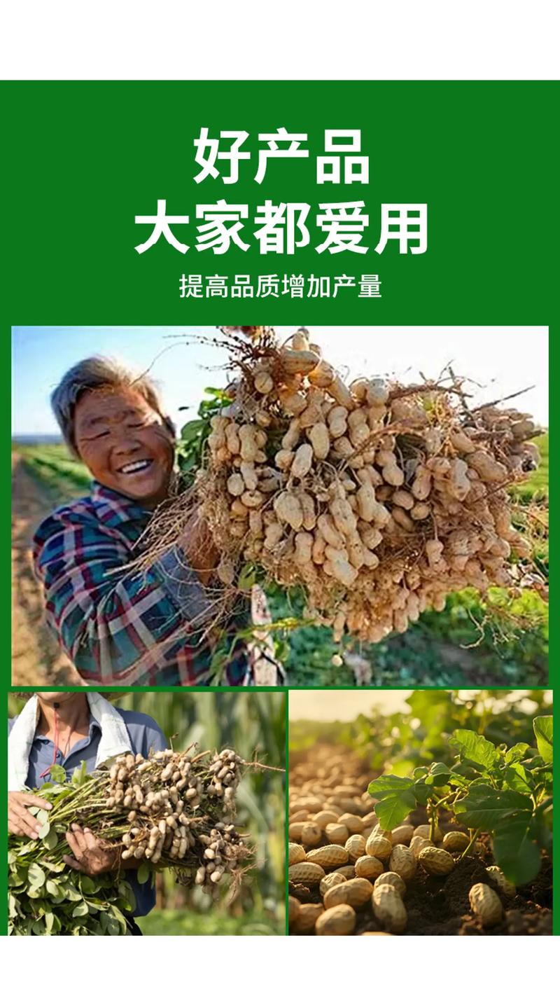 花生下针期要施什么肥?科学施肥助力高产 花生下针期的需肥特点