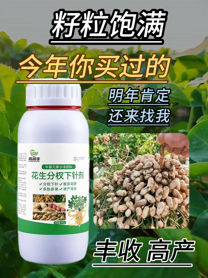 花生下针期要施什么肥?科学施肥助力高产 推荐施肥方案