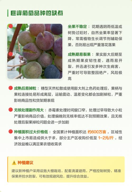 巨峰葡萄品种优缺点全解析：家庭种植与经济效益分析