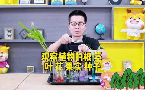 植物学基础：根茎叶花果实种子的功能与识别