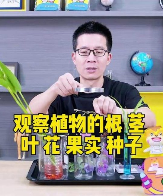 植物学基础：根茎叶花果实种子的功能与识别