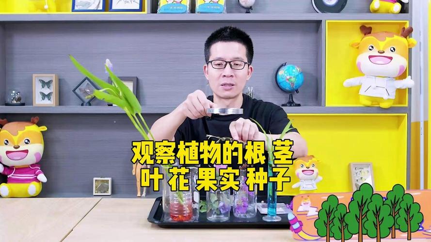 植物学基础：根茎叶花果实种子的功能与识别