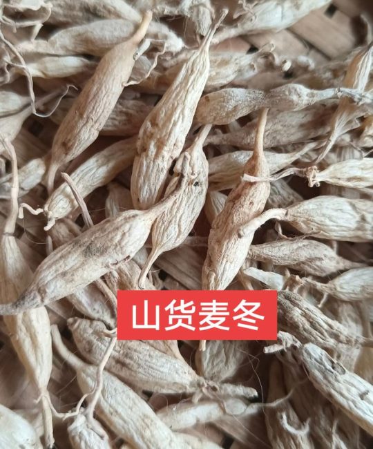 麦冬价格多少钱一斤？规格、产地、季节影响报价