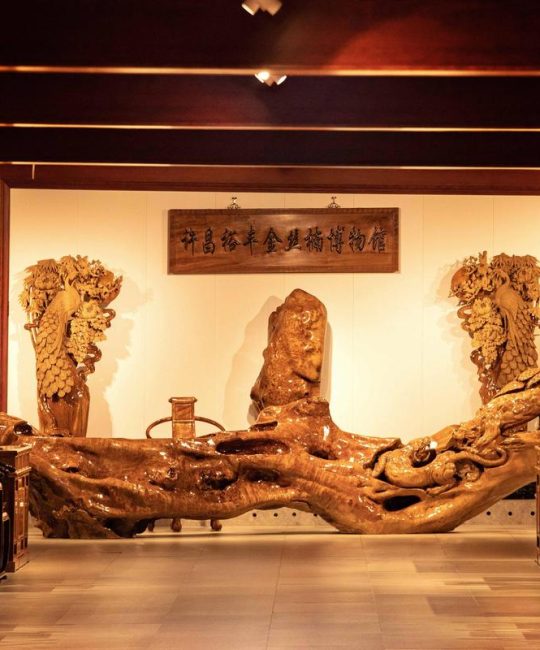 雅安金丝楠木市场在哪里？探秘金丝楠木的园艺选购与养护指南