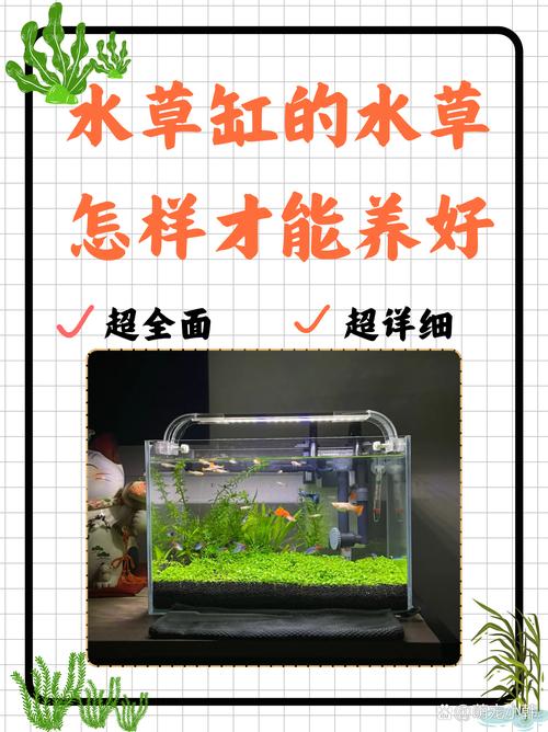 总结
