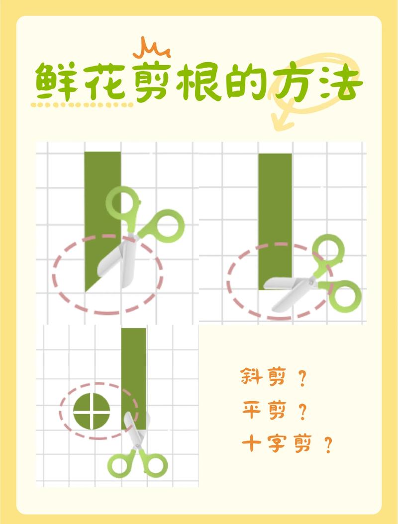 牡丹花枝条扦插成活指南:从剪取到移栽的全程养护解析 浇水:基质保持“润而不湿”是插穗存活的关键