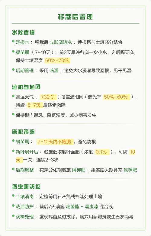 草莓可以二次移栽吗?完整操作指南,确保成活率 二、土壤环境