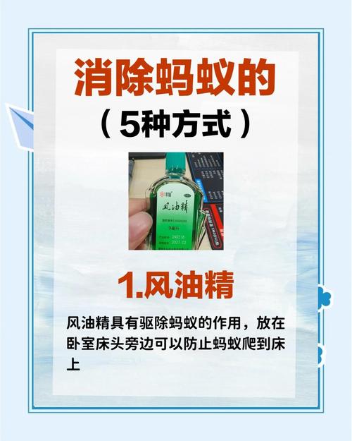 枇杷树杆里有蚂蚁怎么消灭?全面防治与种植指南 授粉需求配置:自花结实率高,但配置授粉树可增产10%-15%