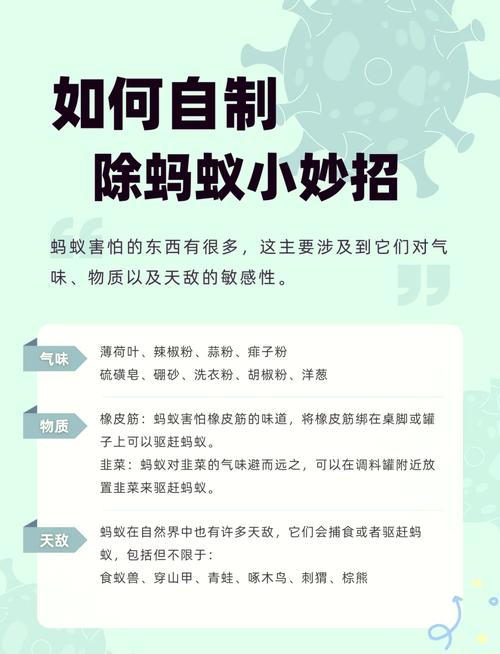 枇杷树杆里有蚂蚁怎么消灭?全面防治与种植指南 总结验证:检查蚂蚁彻底清除的标准