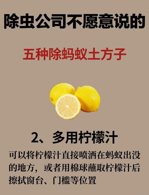枇杷树杆里有蚂蚁怎么消灭?全面防治与种植指南 采购质量判断:一看嫁接口,二看根系,三看苗龄