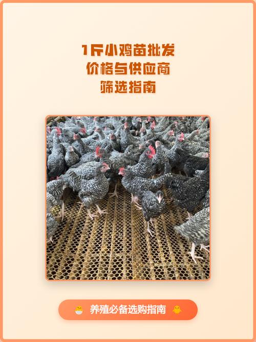 常见问题（FAQ）