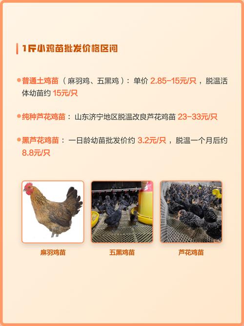 咨询指南