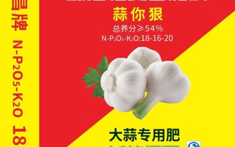 大蒜底肥的正确选择与施用方法，让蒜头饱满又高产