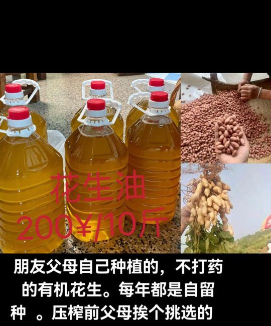 花椒籽家庭提取油全攻略：从种植到榨油
