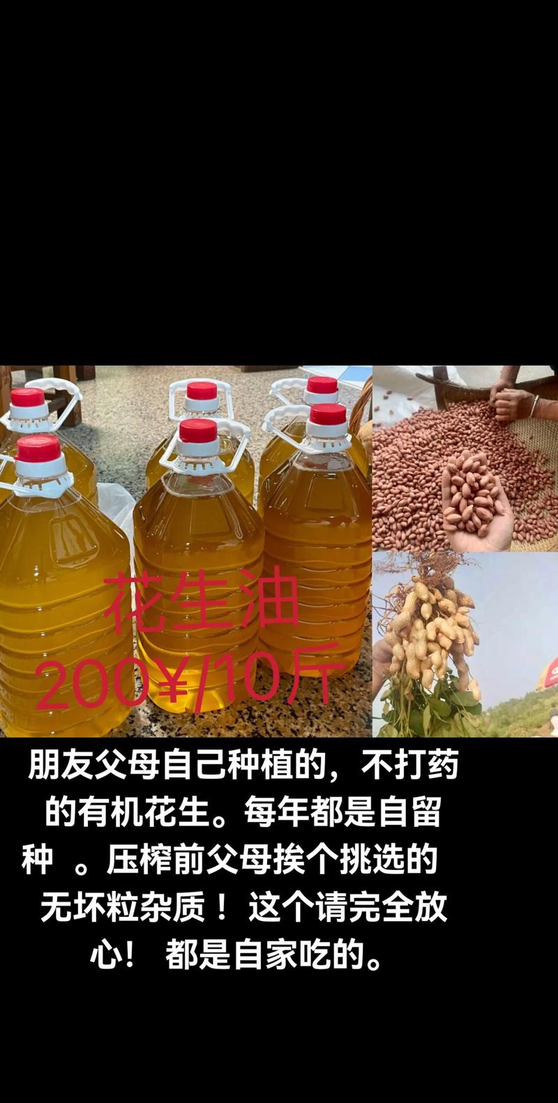 花椒籽家庭提取油全攻略:从种植到榨油 一、花椒种植与籽的收集