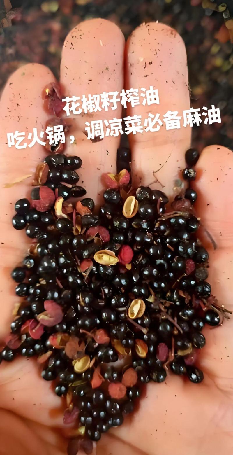 花椒籽家庭提取油全攻略:从种植到榨油 二、家庭提取油的两种实用方法